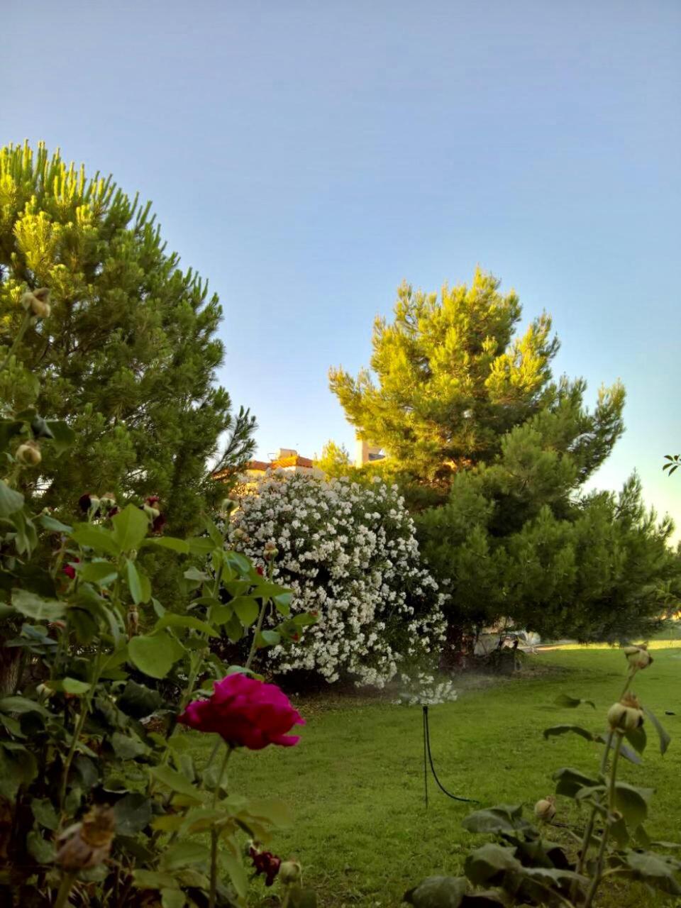 Villa Marita Lisvori Exterior foto